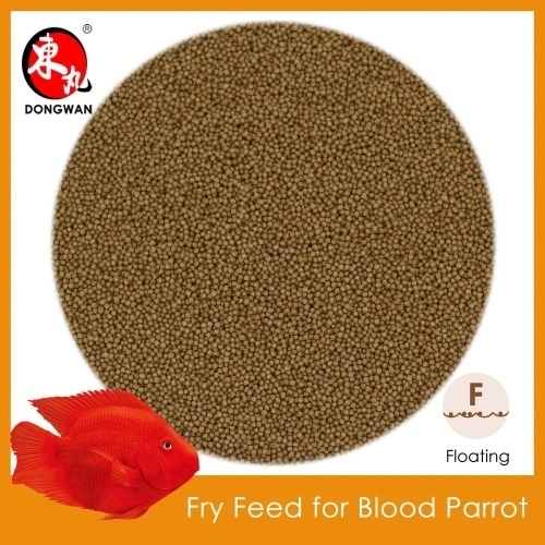 Fry Feed for Blood Parrot