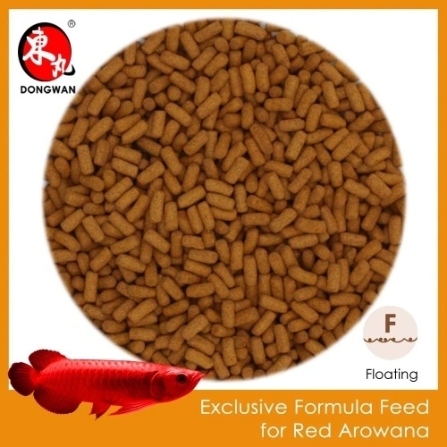 Compound feed for Red Arowana