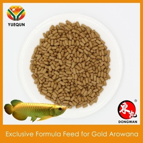 Aquarium Fish Food Compound Feed For Gold Arowana