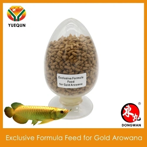 Feed Aquarium Fish Food Compound feed for Gold Arowana