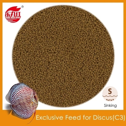 Wholesale Exclusive Feed for Discus C3