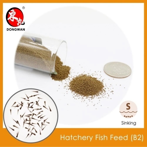 Hatchery Fish Feed for Ornamental Fish B2